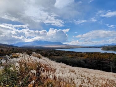 出会いがない人がマッチングアプリから始めるのは危険な理由